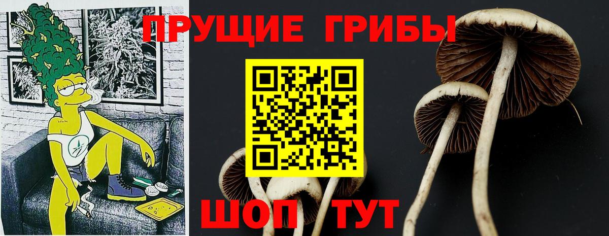 Прохладный  Галлюциногенные грибы Psilocybine cubensis  даркнет сайт  Вход с VPN 