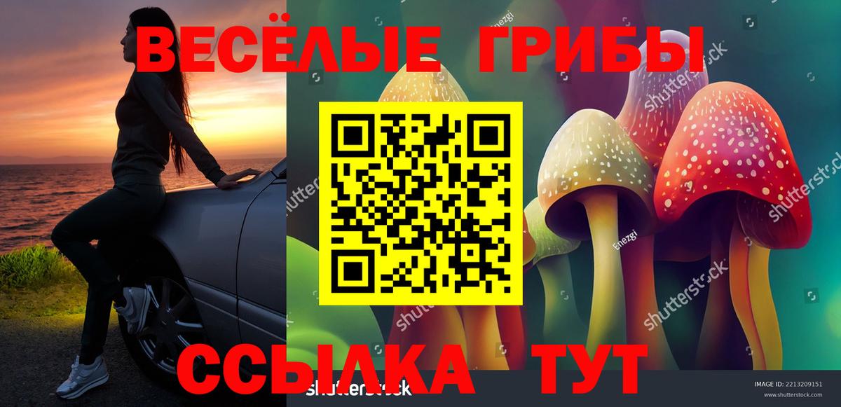 Псилоцибиновые грибы Psilocybe Прохладный
